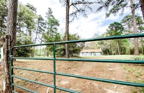 Crockett Cottage | Cute & Cozy Cabin w/ hot tub, huge firepit, foosball and quiet seclusion!
