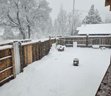 Mount Shasta House | Cute Little House at Mt Shasta