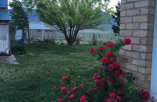Scipio House | Cute pioneer brick house in the country