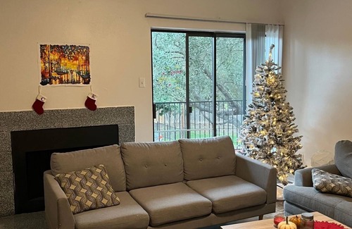South Manchaca Apartment | Cute Southern Austin rental (ideal traveling nurses)