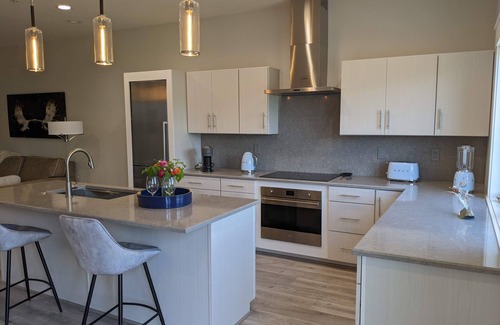 Swan Valley Apartment | Cutthroat Condo - Mountain View and European Kitchen Close to Spring Creek Ramp