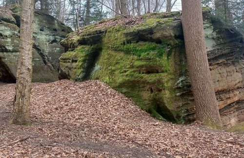 Cuyahoga Falls Apartment | Cuyahoga River Man Cave