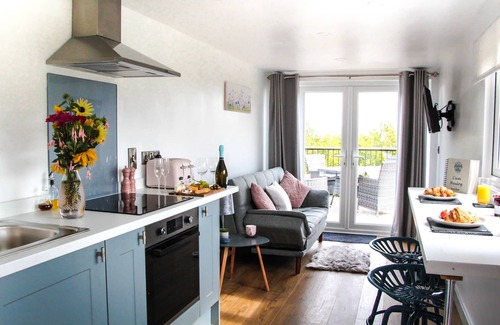 Newcastle-on-Clun Cottage | Cwm Heulog - Cabin with Hot Tub Sleeping 4, Pet Friendly