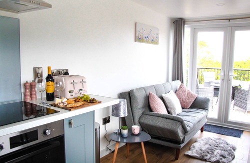 Newcastle-on-Clun Cottage | Cwm Heulog - Cabin with Hot Tub Sleeping 4, Pet Friendly