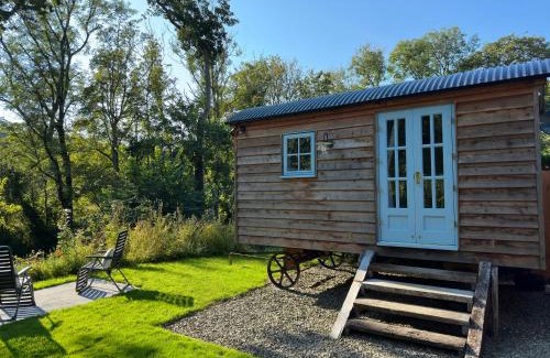 Aberaeron Other | Cwt Bugail Aeron