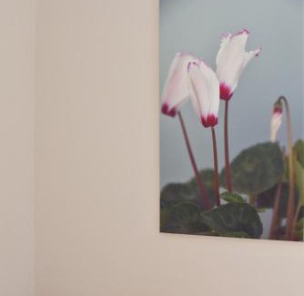 Posidonia Apartment | Cyclamen Apartments