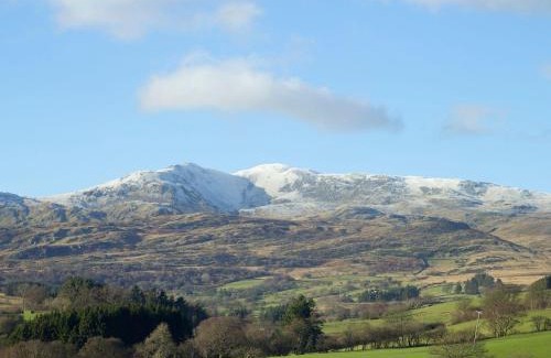 Bala House | Cyffdy Cottage - Tegid