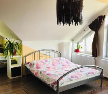 Veseli nad Moravou House | Cyklonocleh
