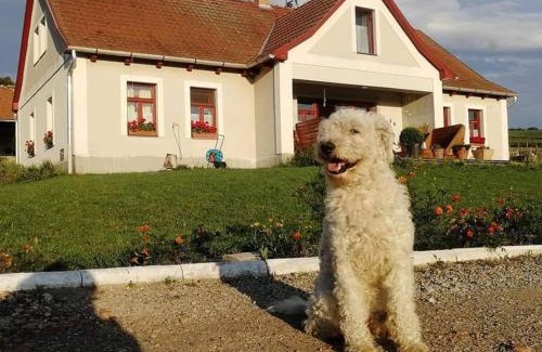 Cserepfalu House | Dósa tanya, Vendégház