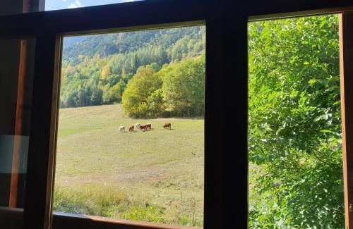 Areu Apartment | Dúplex Àreu, Pallars