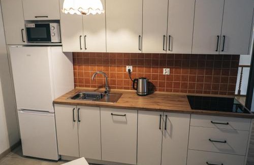 Lidzbark Warminski Apartment | Dżem's Apartaments