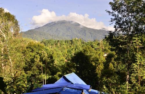 Ranau House | DA Family Mini Garden