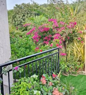 Aburi Hotel | da palm inn