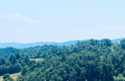 Pieve Santo Stefano Apartment | Da Santina 23