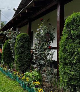 Soymy House | Dacha PODOBOVETS 127