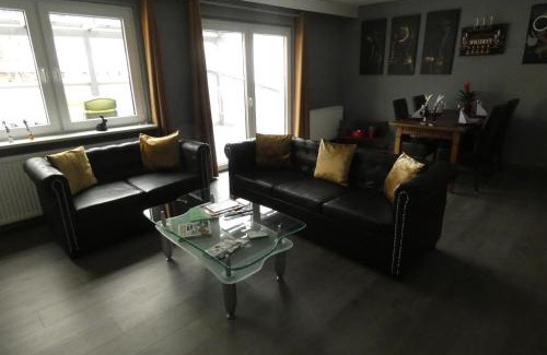 Schwandorf Apartment | Dachterrasse