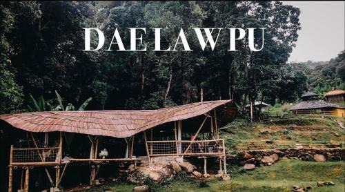 Doi Lo House | Daelorpu Mud house บ้านดิน แดลอปู