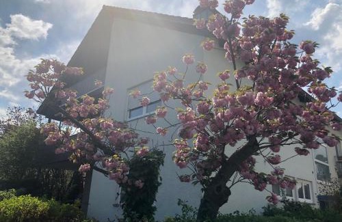 Woerth am Rhein Apartment | Daheim am Wasserturm
