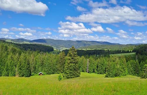 St. Blasien Apartment | Daheim im Geissetal