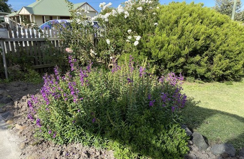 Yarram House | Daisy Cottage on Duke