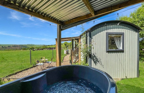 South Molton Apartment | Daisy Shepherd's Hut, North Molton