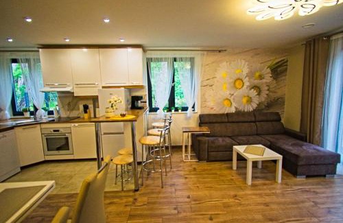 Lukecin House | Daisy - Sunny Flowers Apartments