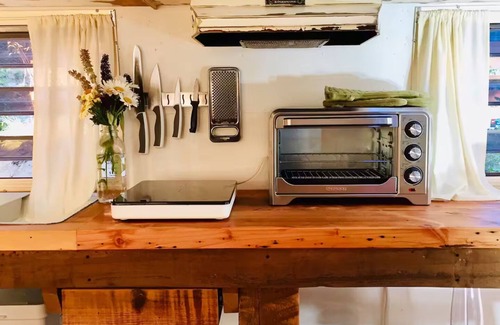 Salt Spring Island House | Daisy the Travelux Trailer