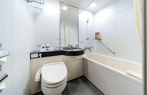 Kawasaki Hotel | Daiwa Roynet Hotel Kawasaki