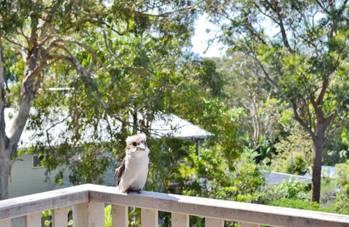 Arakoon House | Dalesview Retreat - Bring your own linen