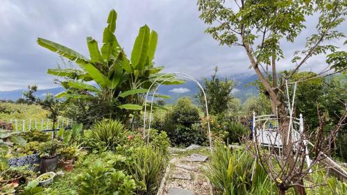 Dali Town House | Dali Sifan Homestay