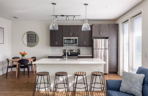 Northeast Dallas Apartment | Dallas Modern 1BD 1BA Apartment