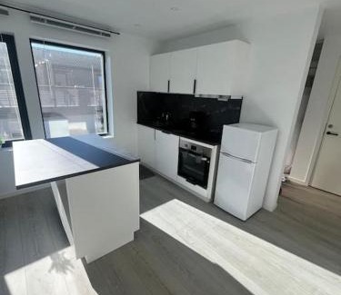 Hemnes Municipality Apartment | Dalselv Ranfjorden Tindan