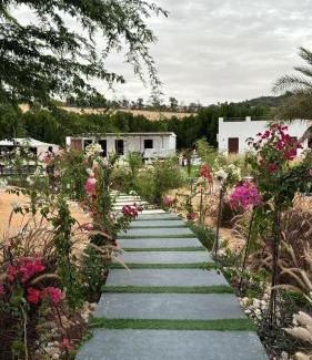 Liwa Resort | Damas Resort