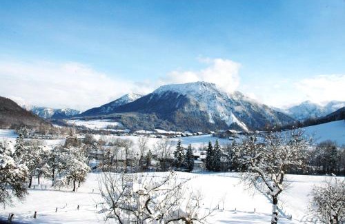 Ruhpolding Apartment | Dammerer Hof inkl. Chiemgaukarte