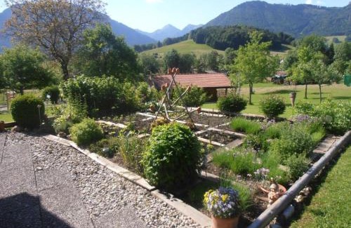 Ruhpolding Apartment | Dammerer Hof inkl. Chiemgaukarte