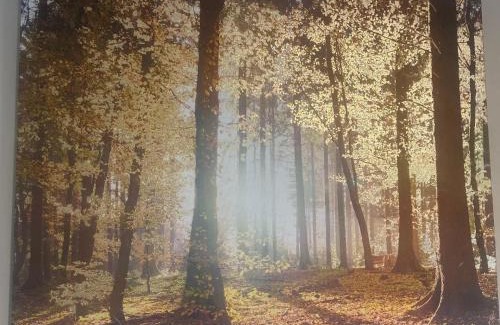 Drumkeen House | Dan's Cottage