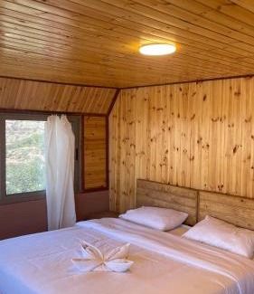 Dana Hotel | Dana luxury huts