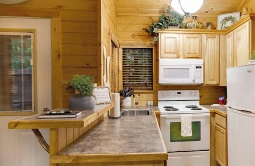 Broken Bow Cabin | Dances with Wolves|1 King Bedroom|Hot Tub|Fireplace|Pet Friendly