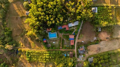 Dandeli House | Dandeli wildlife adventure