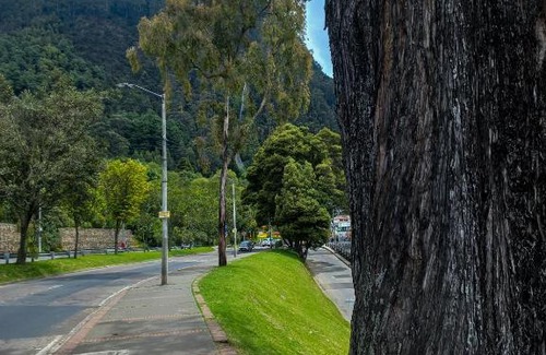 Bogota Apartment | Daniels property