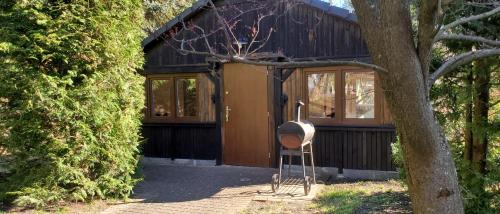 Pelczyce House | Dankowska Dolina