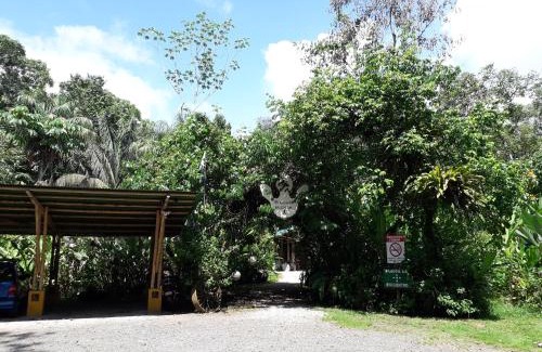 Palma Cabin | Danta Corcovado Lodge