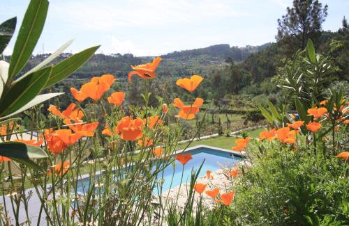 Povoa de Lanhoso House | Dantas Village