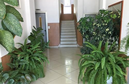 Vidin Hotel | Danubian