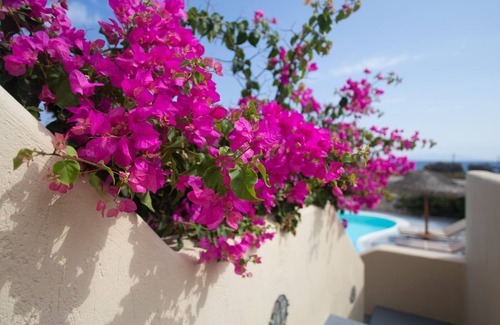 Agia Paraskevi Villa | Daphne | Cycladic Three-Bedroom Villa with Private Pool and Sea View