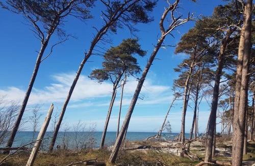 Wieck auf dem Darss House | Darßer Koje