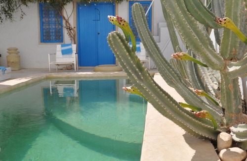 Erriadh Bed & Breakfast | Dar Bibine