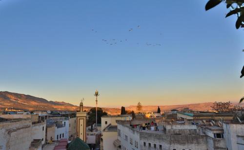 Quartier Al Adarissa House | Dar Fes Flower