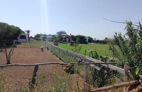 Sahel Oulad H'Riz Villa | Dar illy