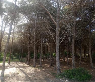 Ras Jebel House | Dar Latifa